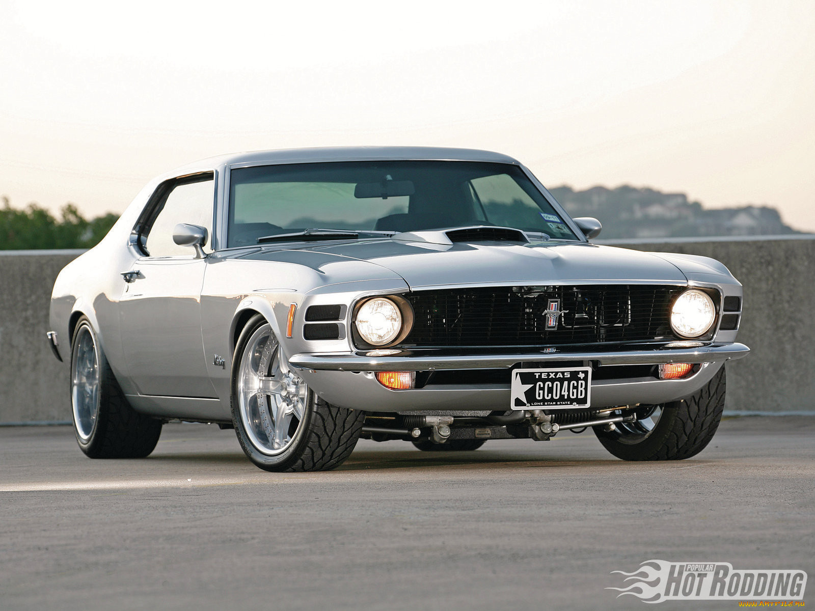 , mustang